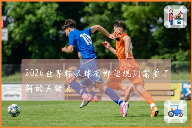 2026世界杯买球有哪些规则需要了解的关键点