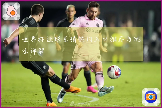 世界杯让球竞猜热门入口推荐与玩法详解