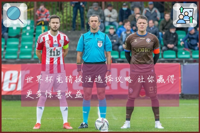 世界杯竞猜投注选择攻略 让你赢得更多惊喜收益