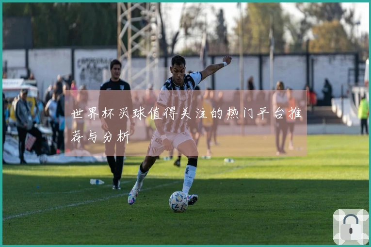 世界杯买球值得关注的热门平台推荐与分析