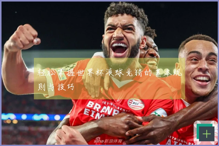 轻松掌握世界杯滚球竞猜的基本规则与技巧